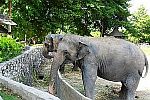 zoo songkhla adalah zoo terbesar di Selatan Thailand