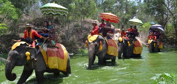 tunggang gajah di Hat Yai